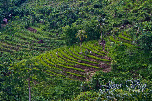 NEGROS OCCIDENTAL TRAVEL GUIDE + ATTRACTIONS NEGROS OCCIDENTAL TRAVEL GUIDE + ATTRACTIONS