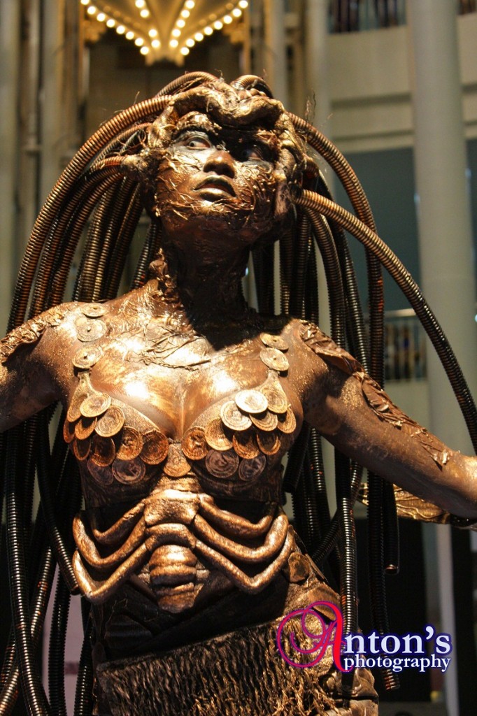 Fantasy Costume
