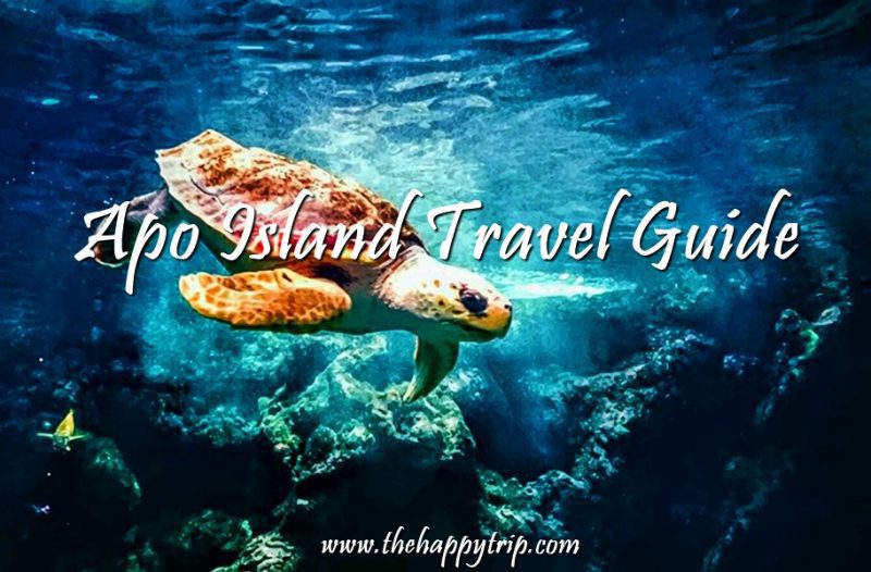 Apo Island