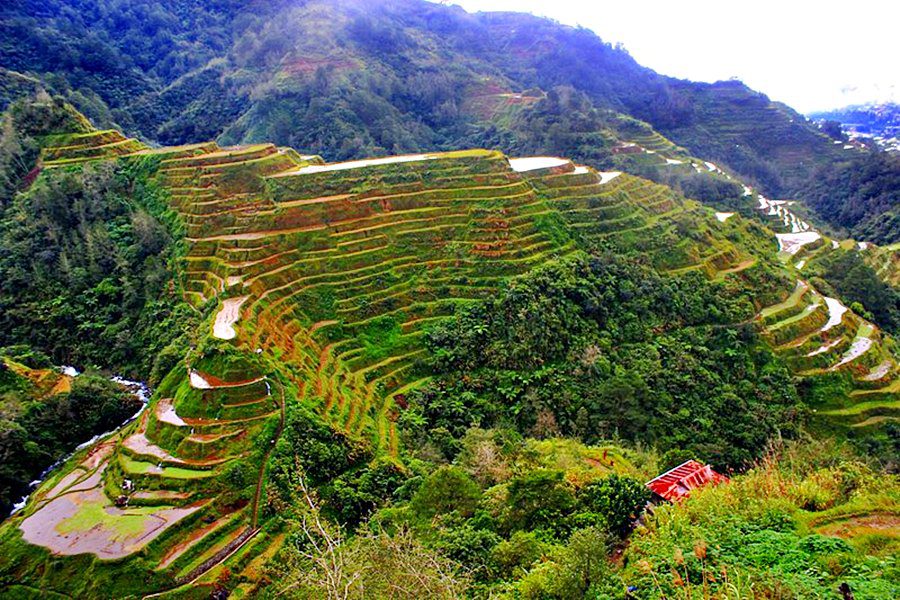 BANAUE,IFUGAO TRAVEL GUIDE